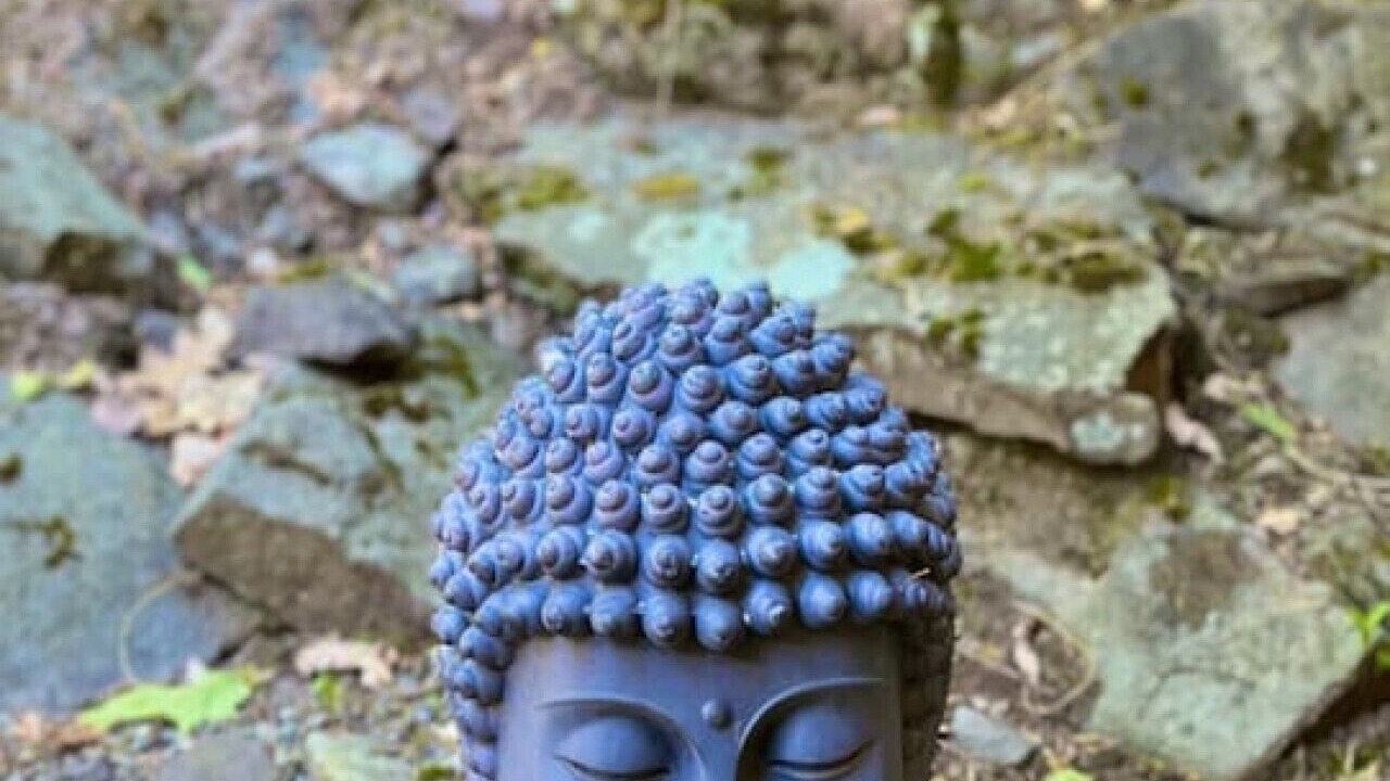 Photo of Others in Highmount