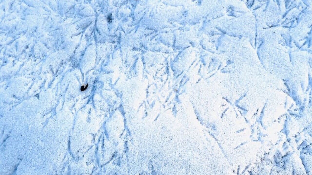 Photo of Others in Highmount