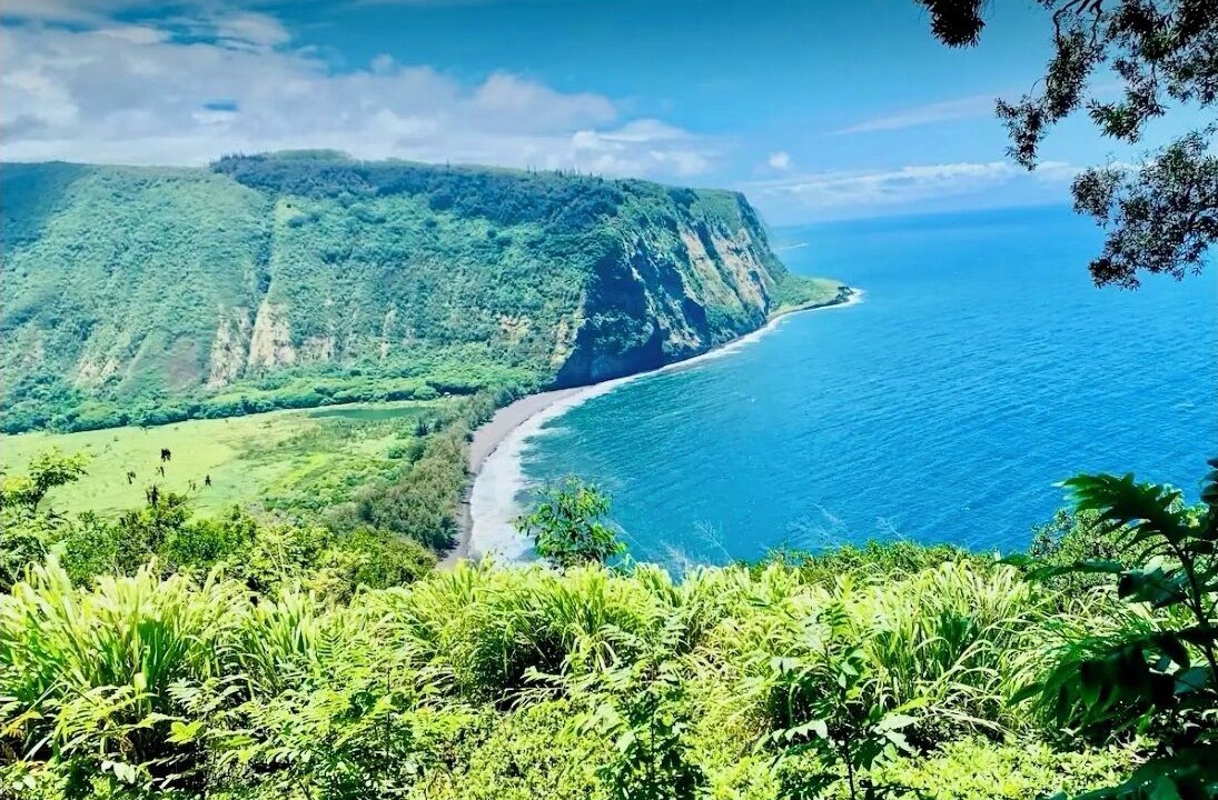 Photo of Others in Waikoloa Village