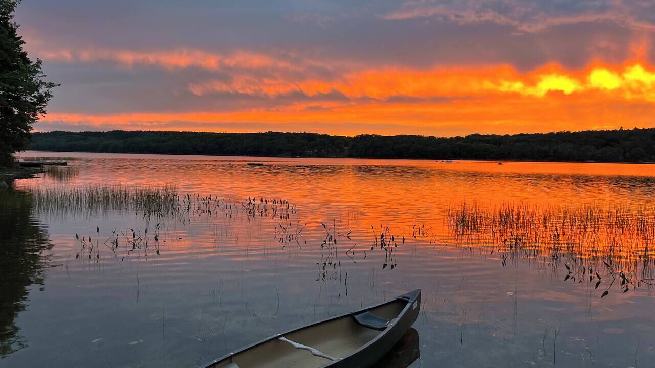 Photo of Others in Brooksville