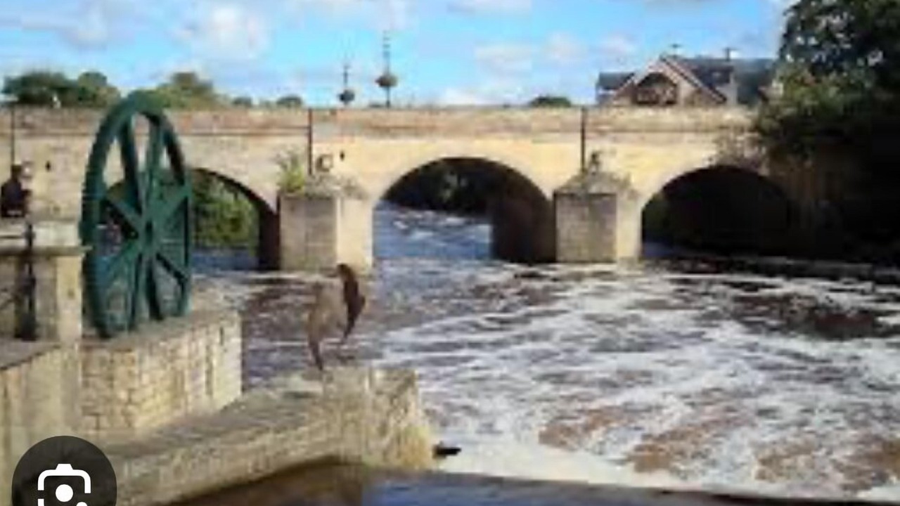 Photo of Others in Wetherby