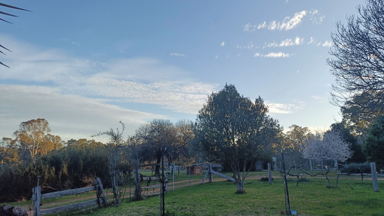 Photo of Outdoor in Moonambel