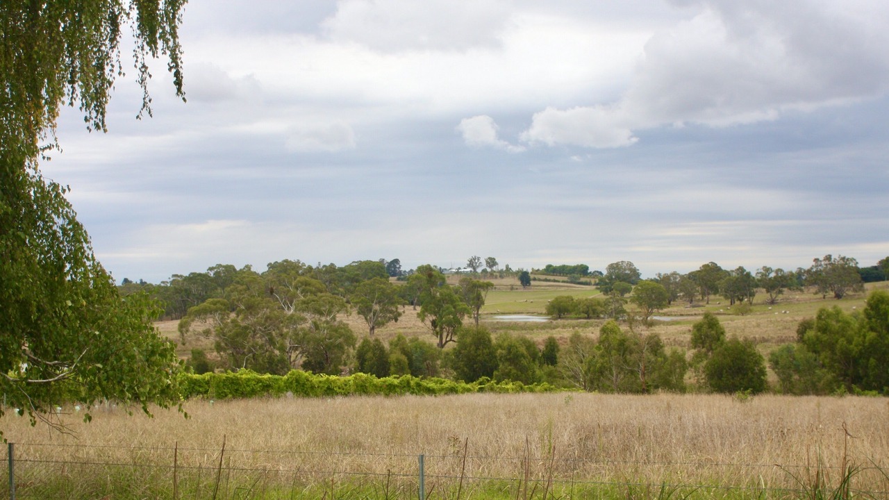 Photo of Outdoor in Nashdale