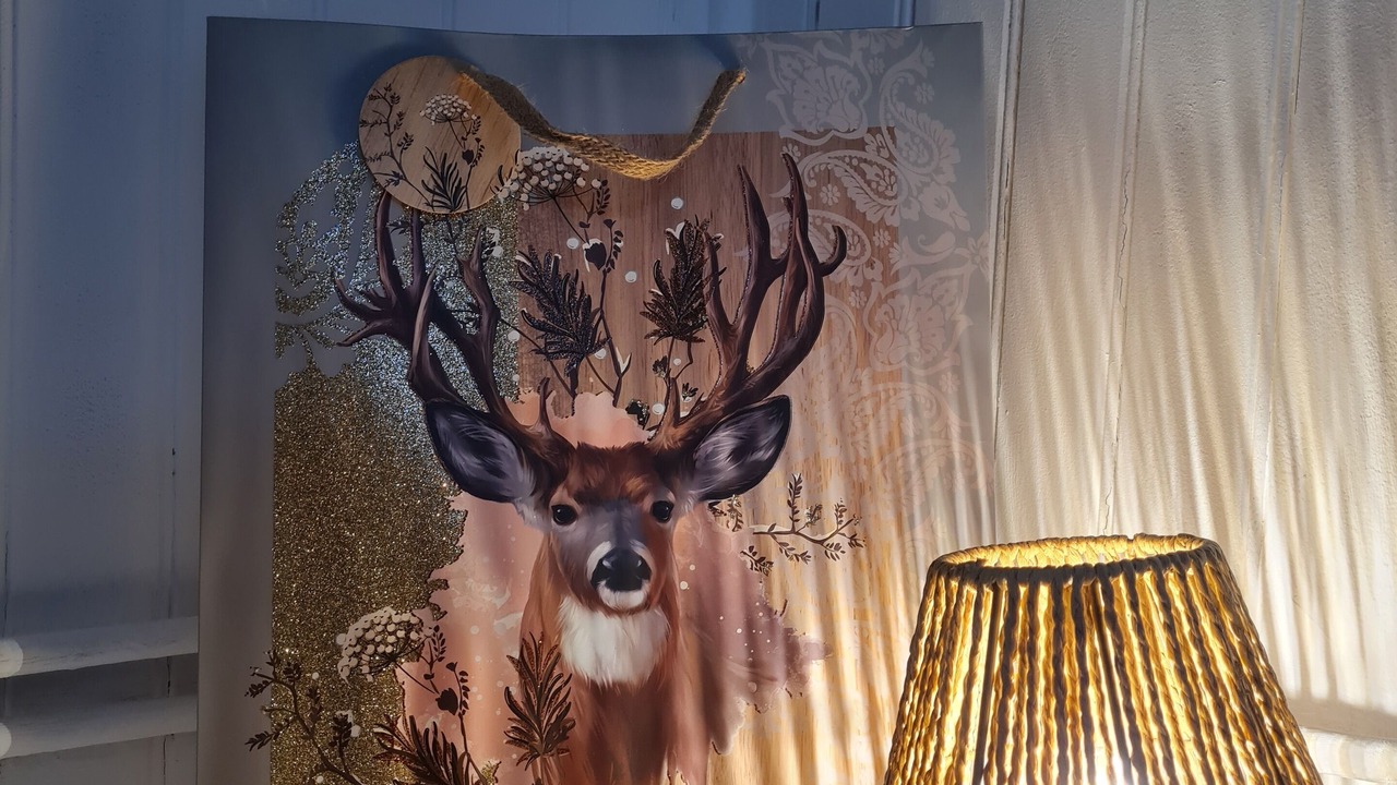 Photo of Others in Cisai-Saint-Aubin