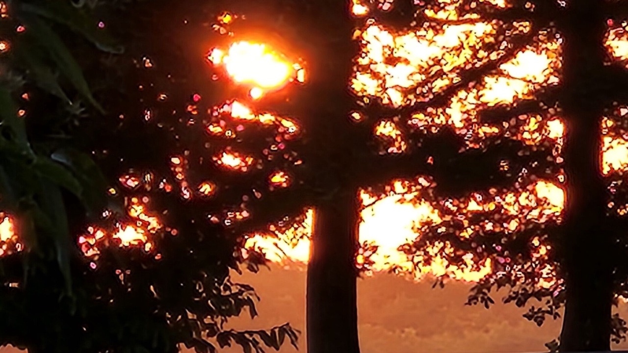 Photo of Others in Saint-Aubin-de-Locquenay