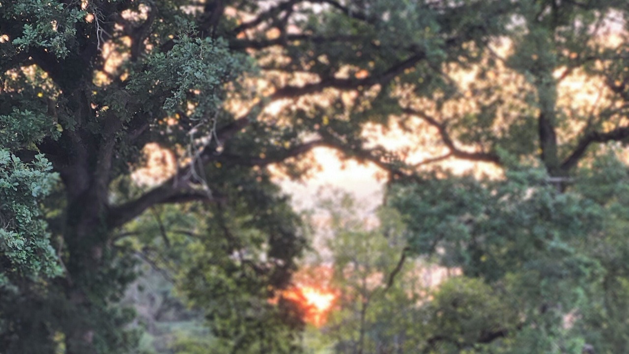 Photo of Others in Saint-Aubin-de-Locquenay