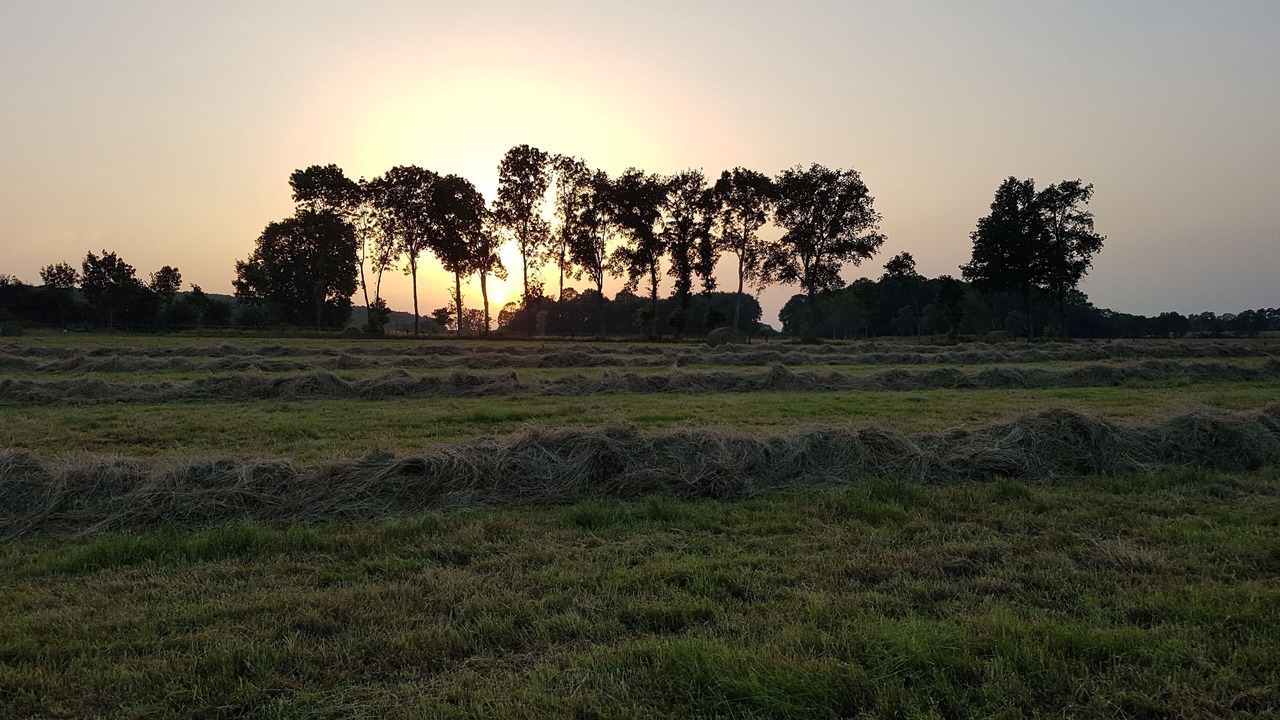 Photo of Others in Saint-Aubin-de-Locquenay