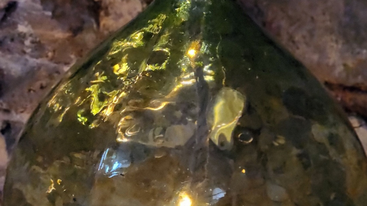 Photo of Others in Saint-Aubin-de-Locquenay