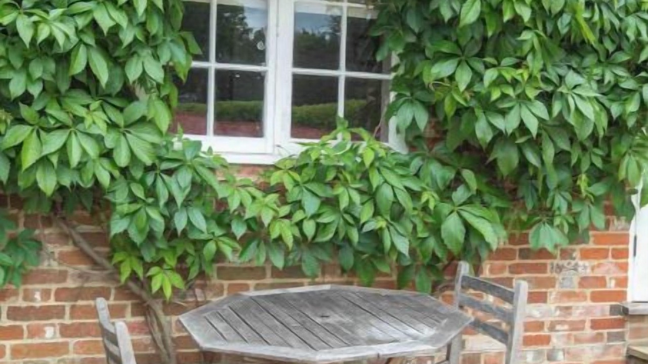 Photo of Outdoor in Mapledurwell