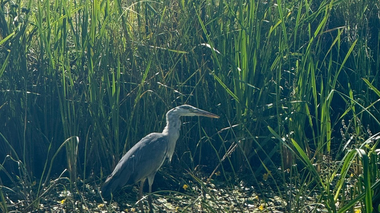 Photo of Others in Lancaster