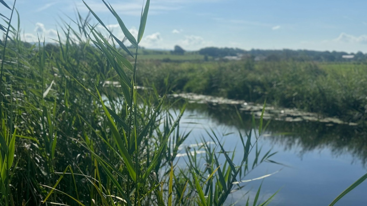 Photo of Others in Lancaster