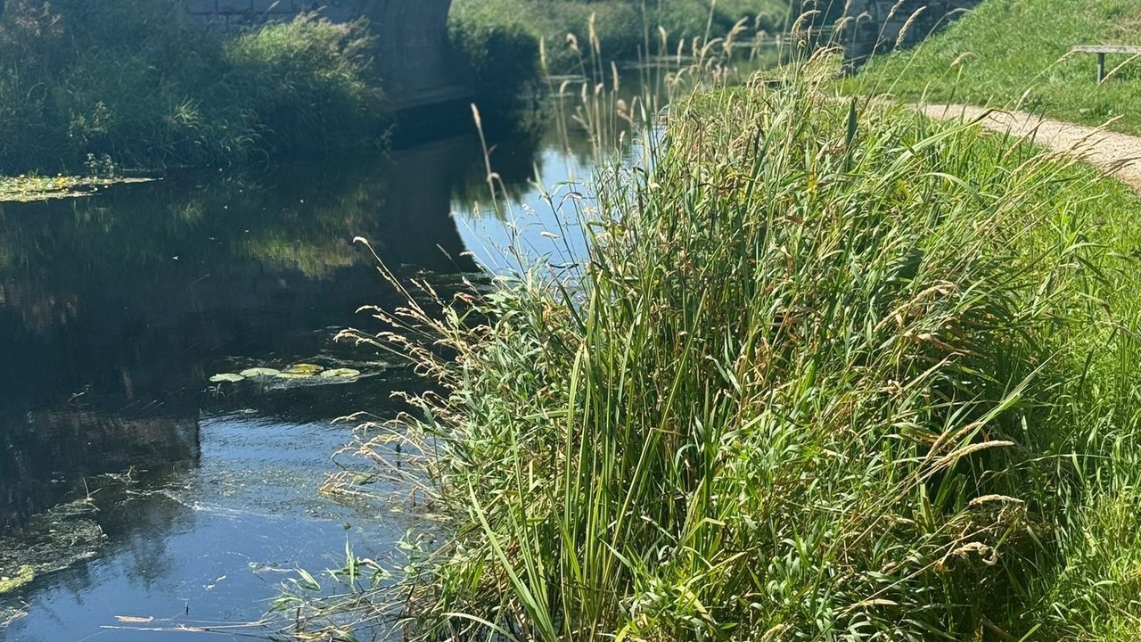 Photo of Others in Lancaster