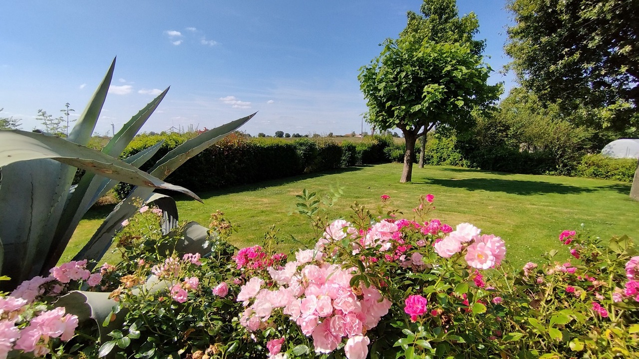 Photo of Outdoor in Saint-Christophe-du-Bois