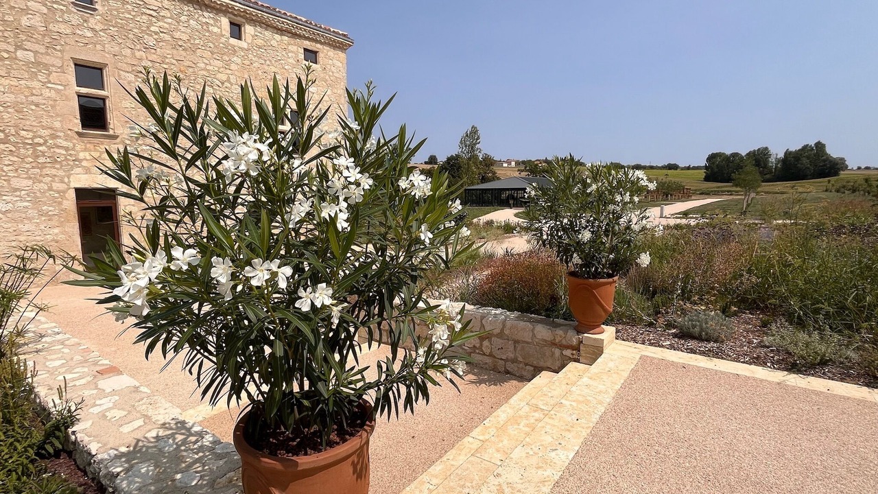 Photo of Outdoor in Saint-Creac