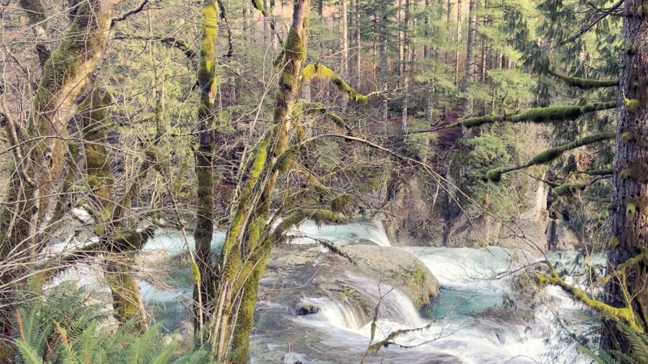 Photo of Others in Washougal