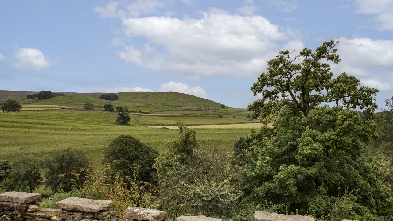 Photo of Others in Skipton