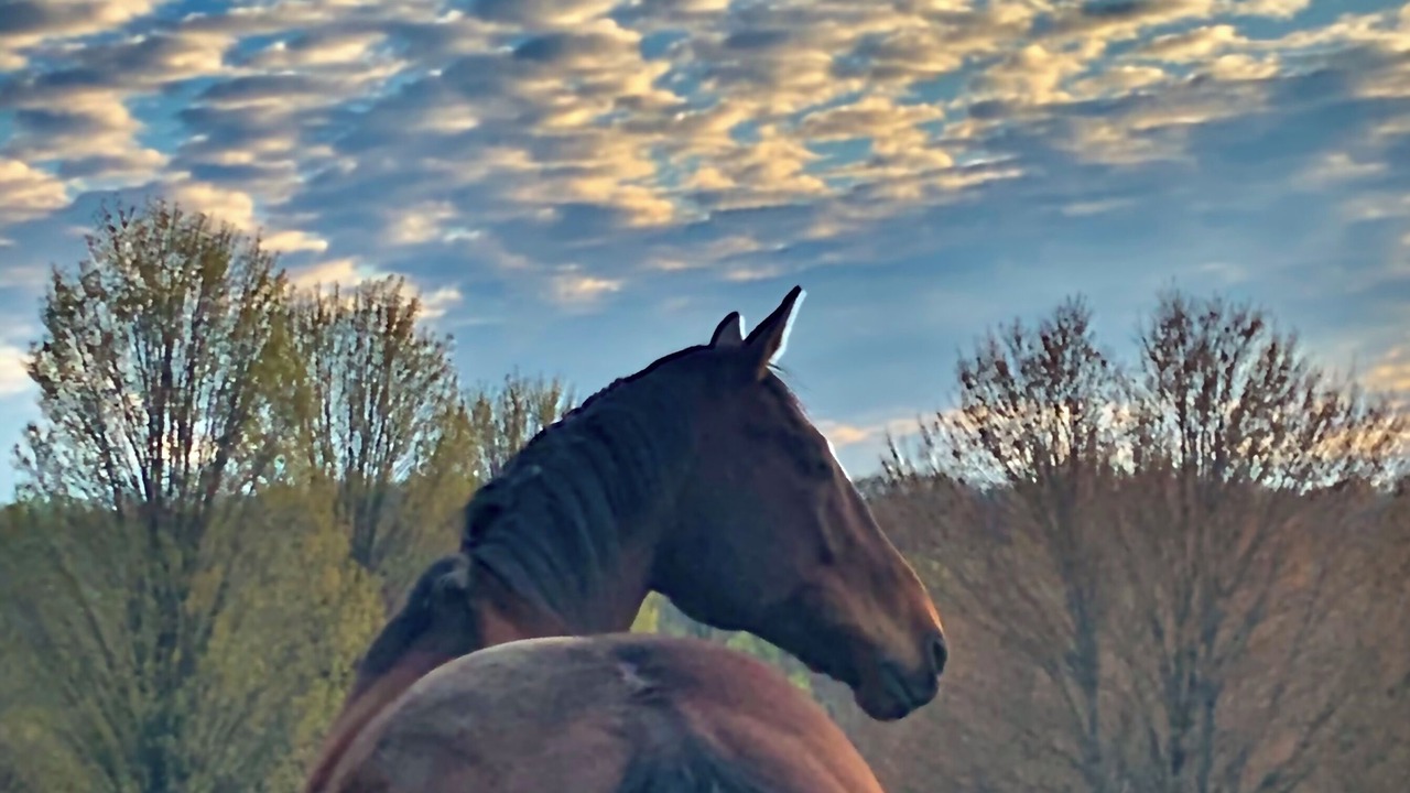 Photo of Outdoor in Holtwood