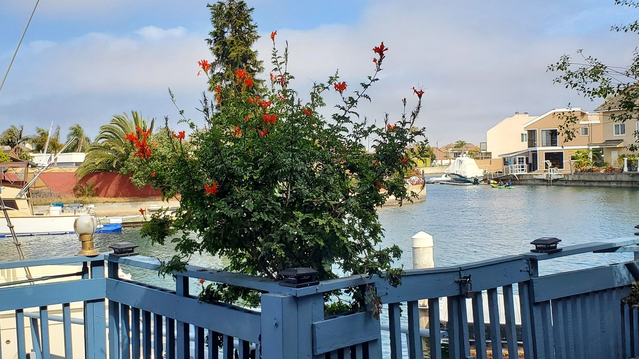 Photo of Outdoor in Huntington Beach