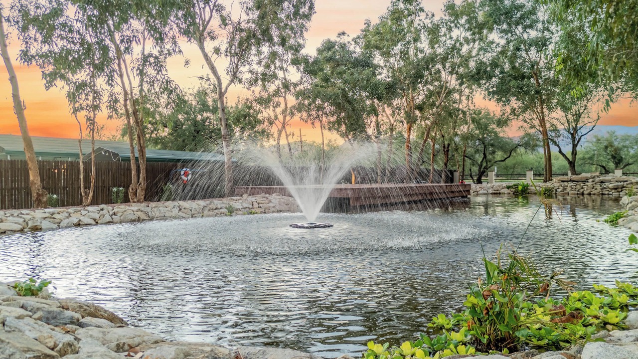 Photo of Outdoor in Tanque Verde
