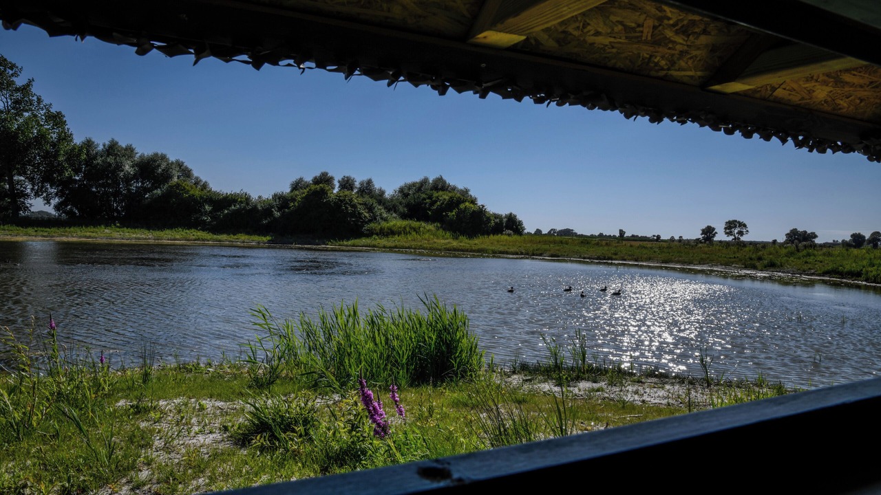 Photo of Others in Le Crotoy