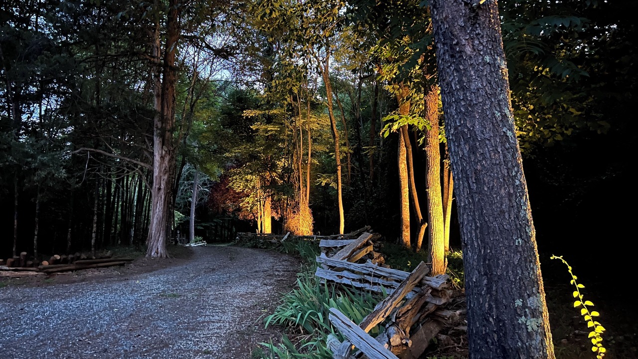 Photo of Outdoor in Roseland