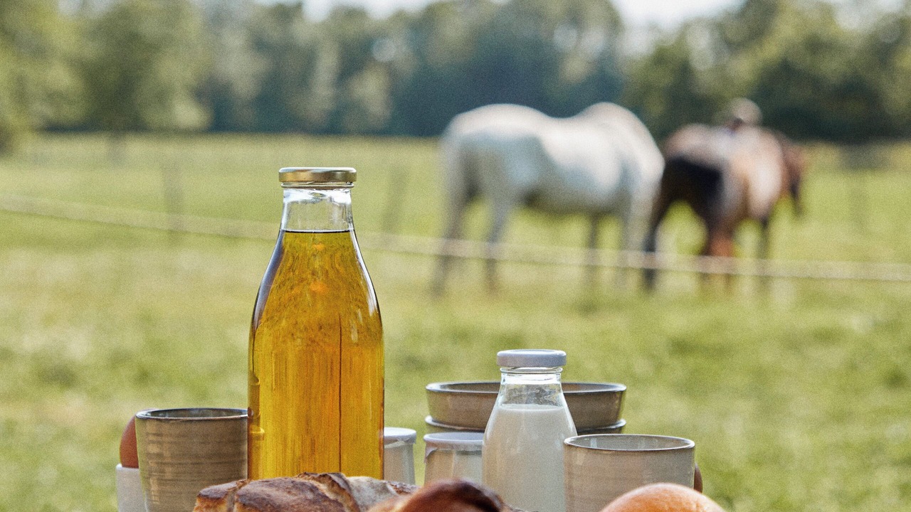 Photo of Others in Cysoing