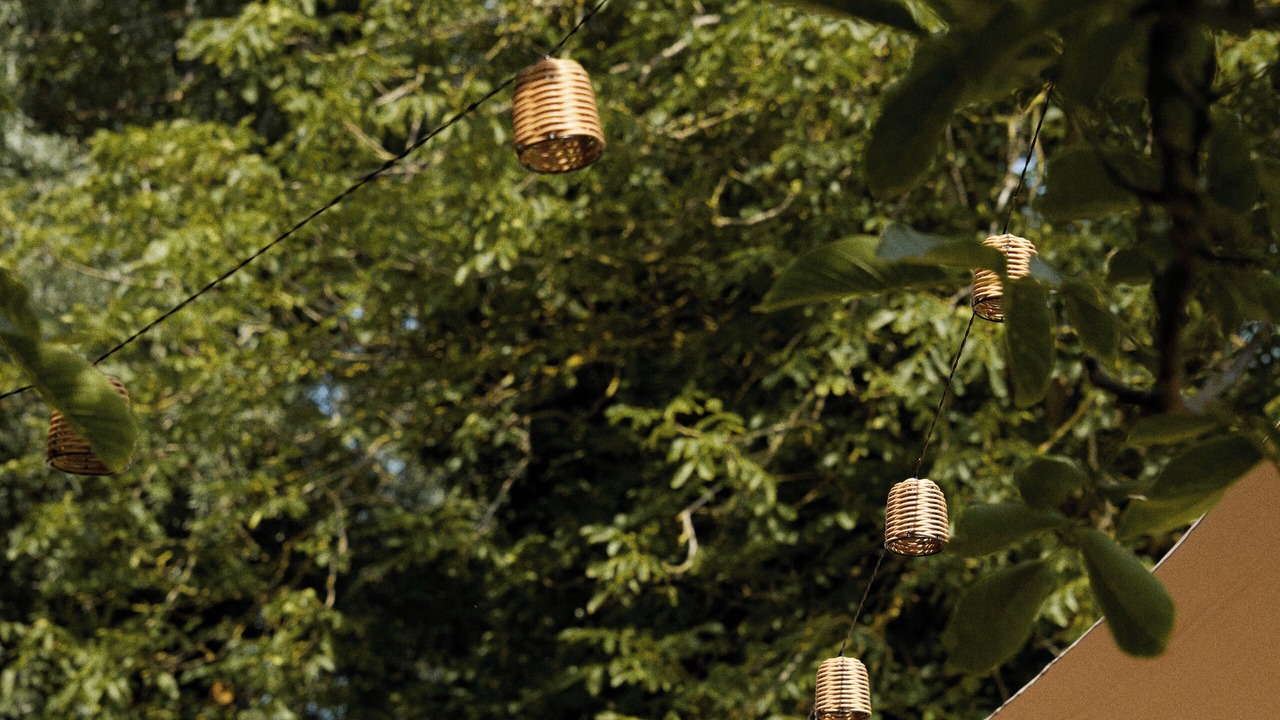 Photo of Outdoor in Cysoing