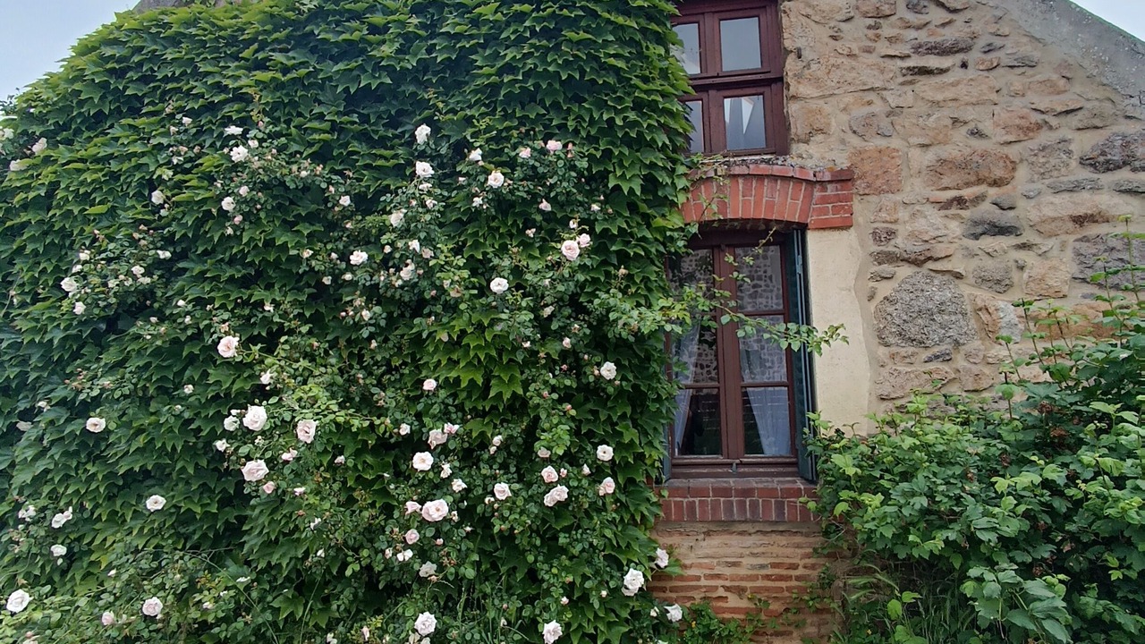 Photo of Outdoor in Le Rousset-Marizy