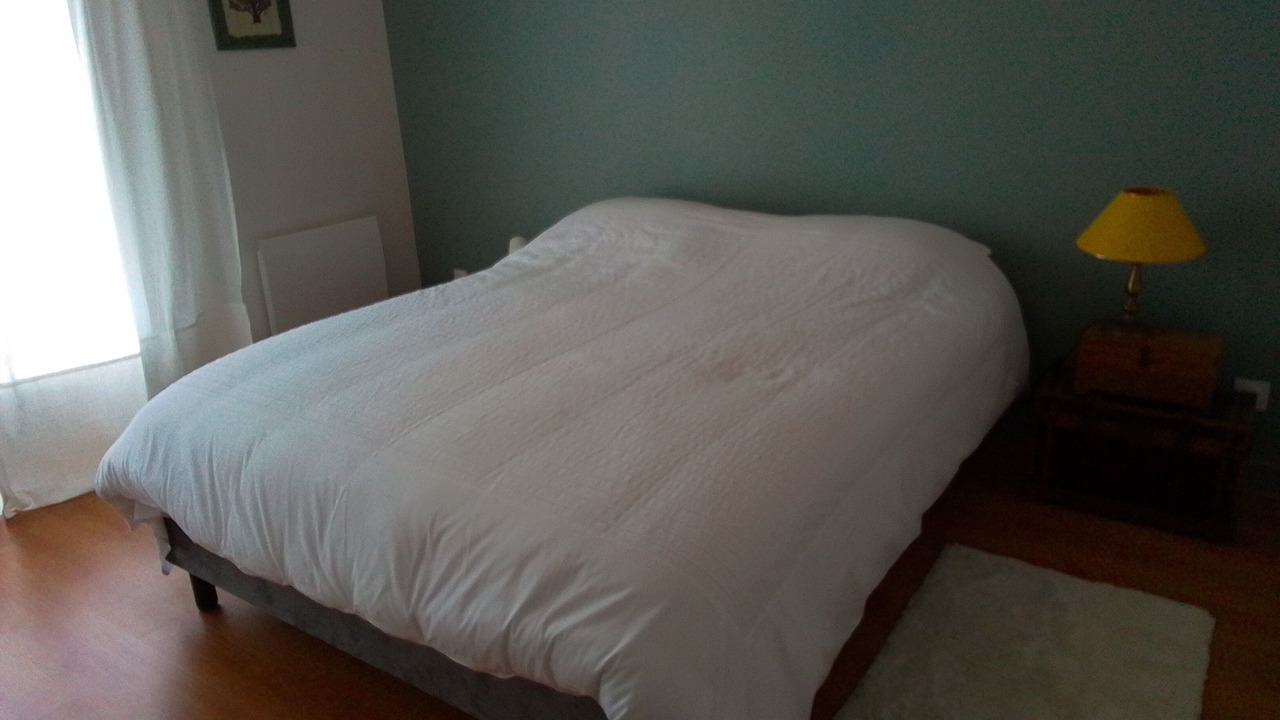 Photo of Bedroom in Olivet