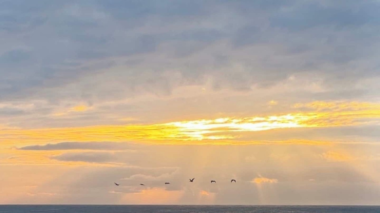 Photo of Others in Ocean Shores
