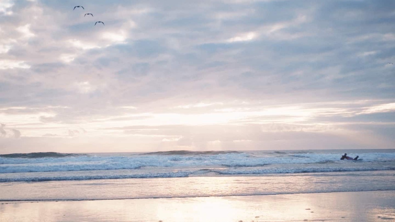 Photo of Others in Ocean Shores