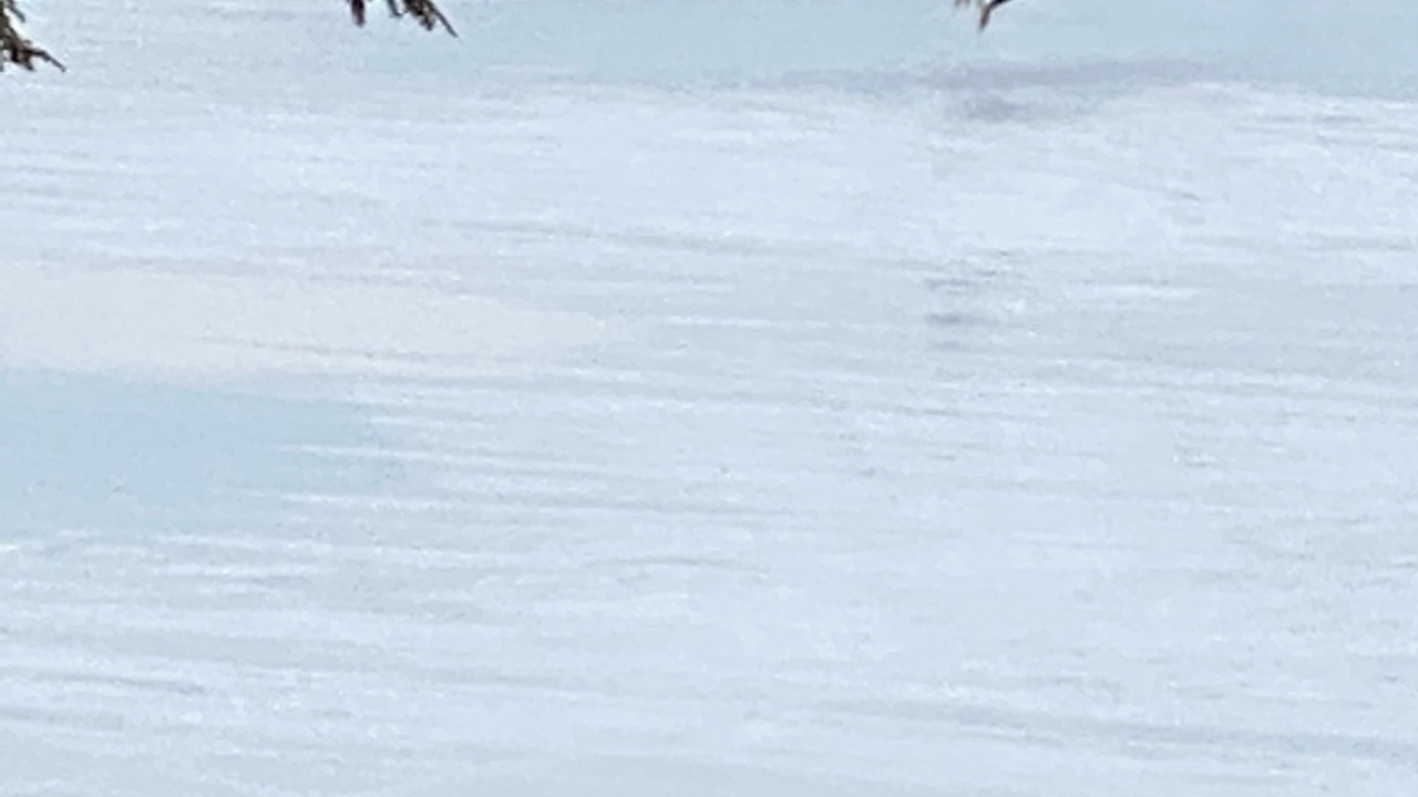 Photo of Others in Baileyville