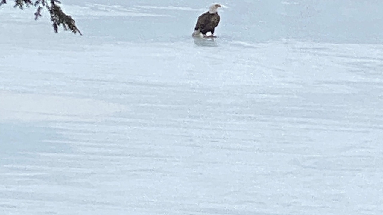 Photo of Others in Baileyville