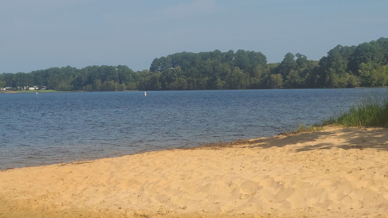 Photo of Others in Hemphill