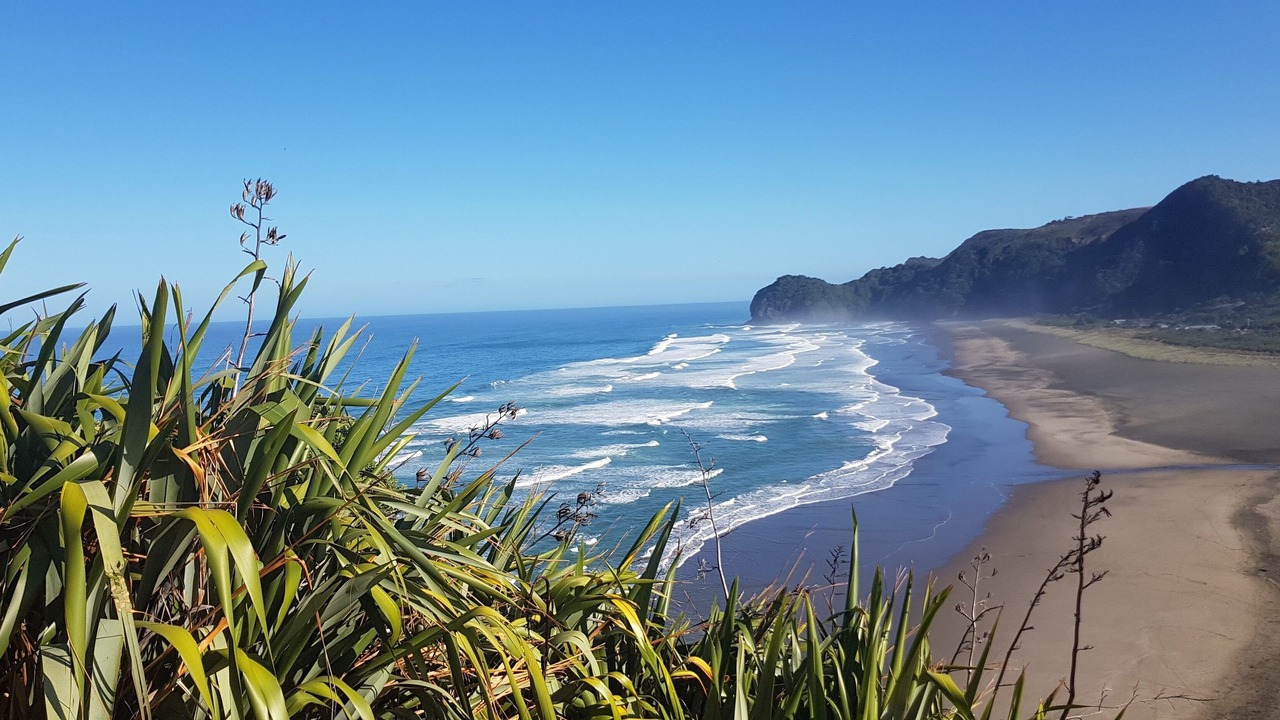 Photo of Others in Piha