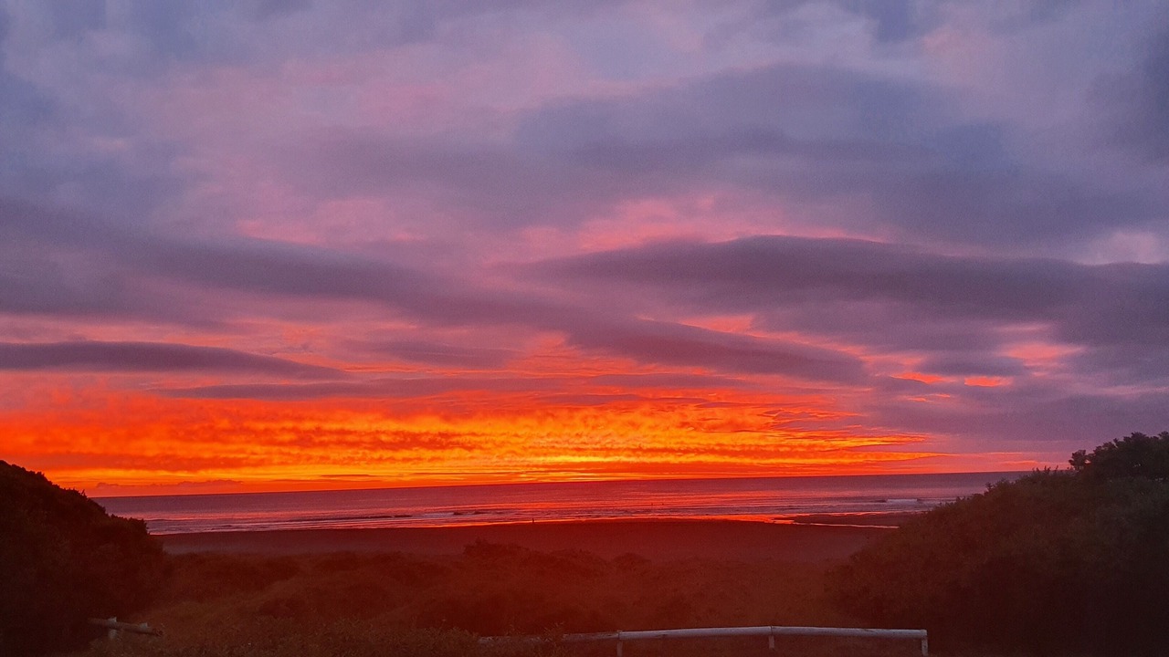 Photo of Others in Piha