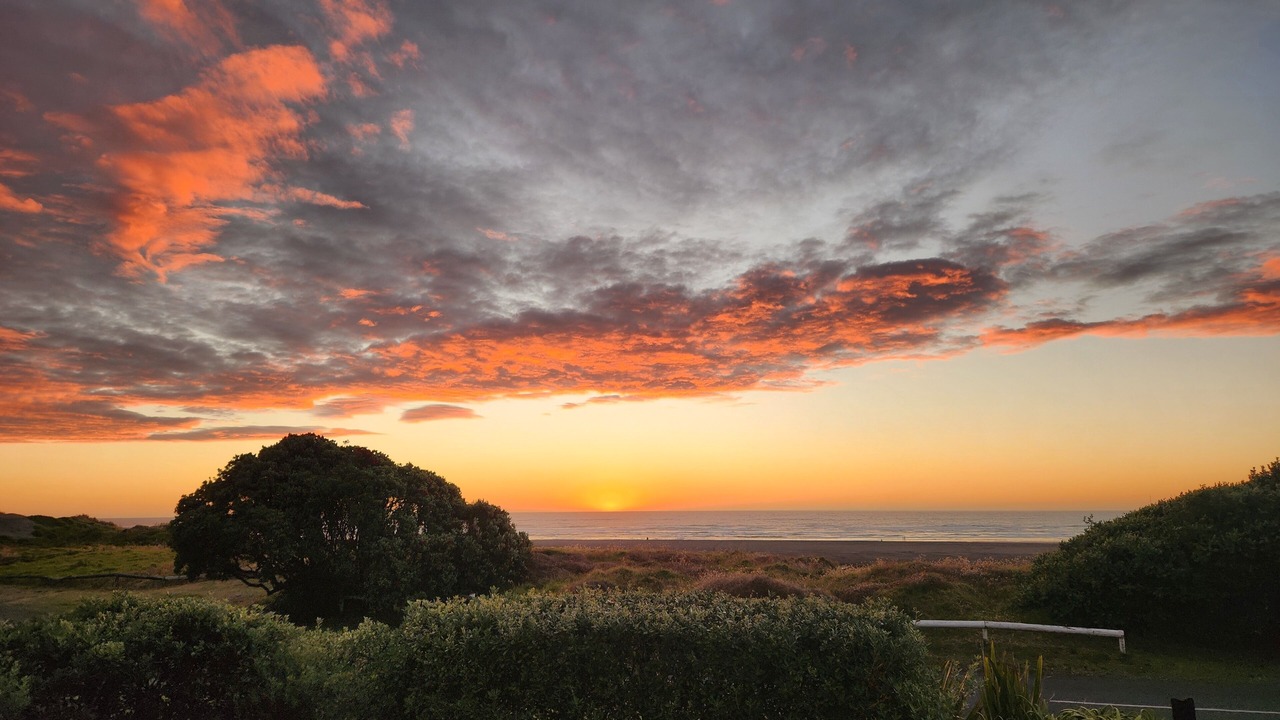 Photo of Others in Piha