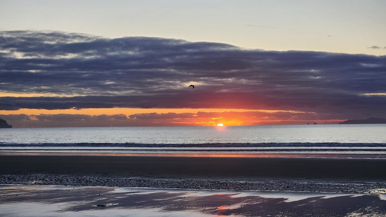 Photo of Others in Piha
