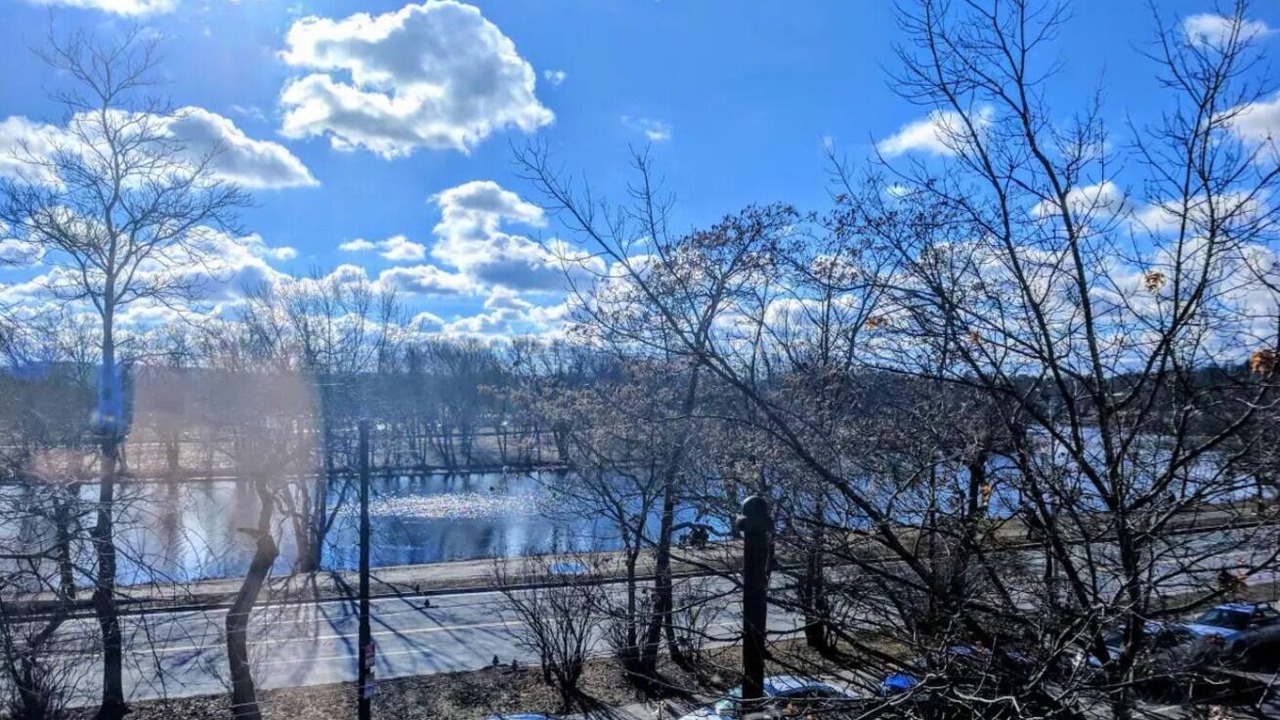 Photo of Others in West Cambridge