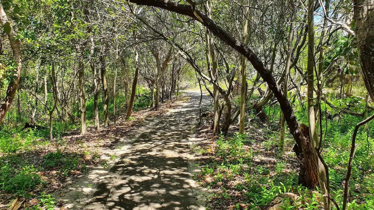 Photo of Outdoor in Castaways Beach