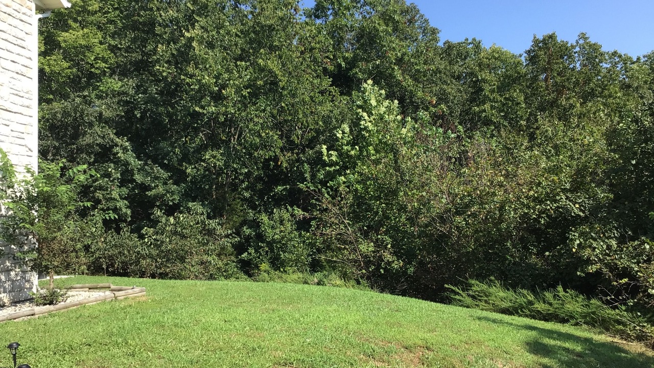 Photo of Outdoor in St. Robert