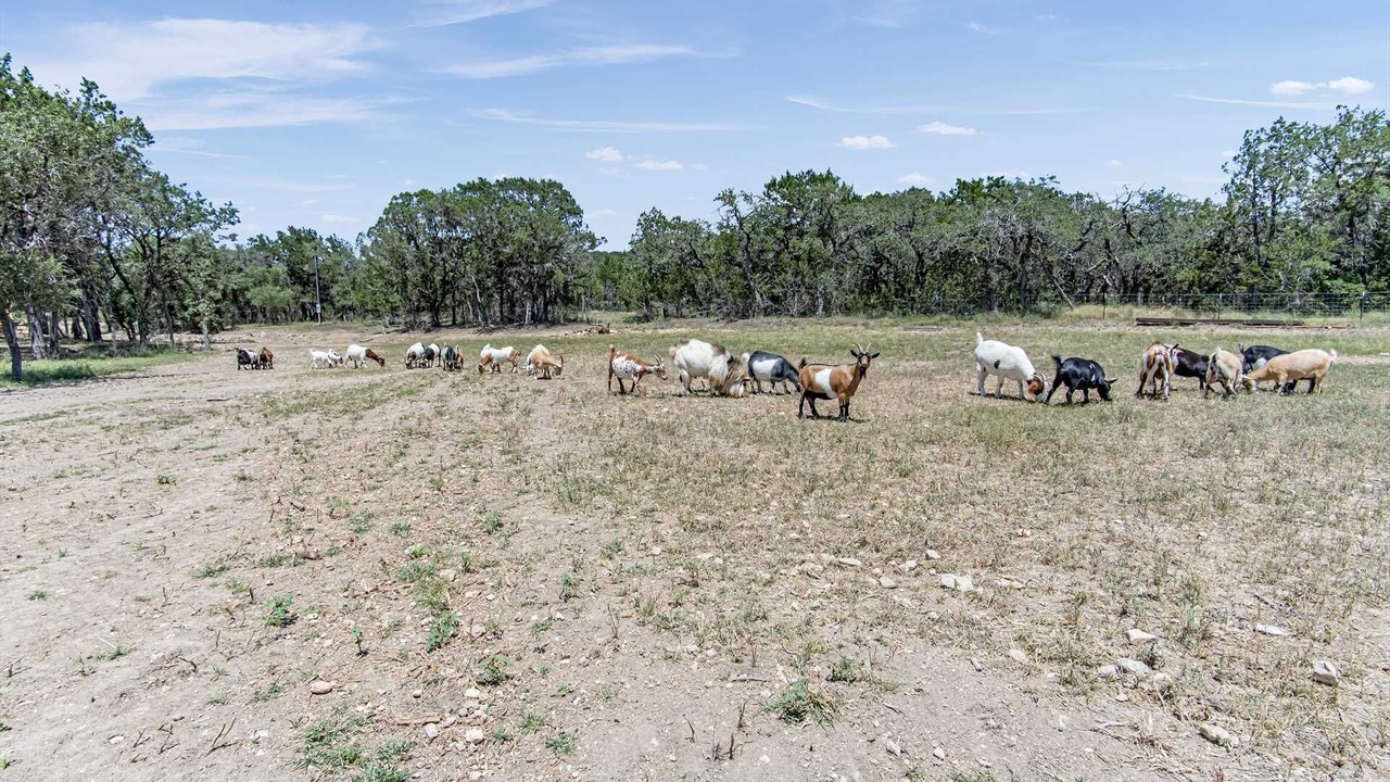 Photo of Outdoor in Bandera