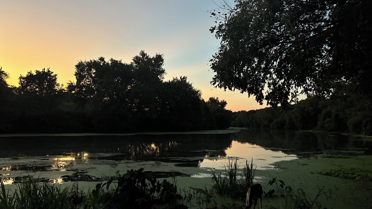 Photo of Outdoor in Elgin