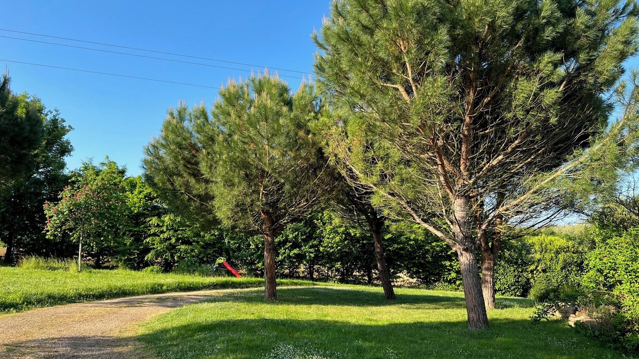 Photo of Outdoor in Plottes