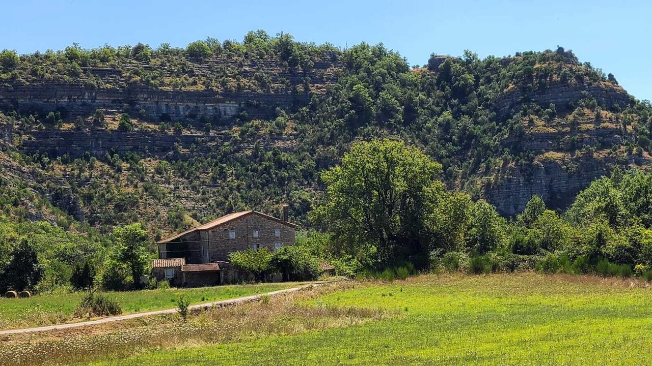 Photo of Outdoor in Chassagnes