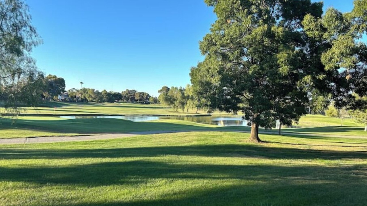 Photo of Others in Discovery Bay