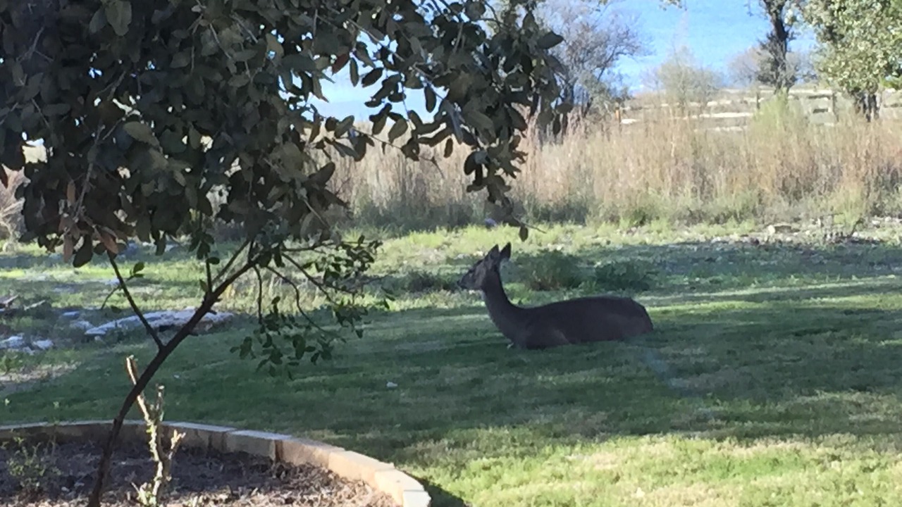 Photo of Outdoor in Point Venture