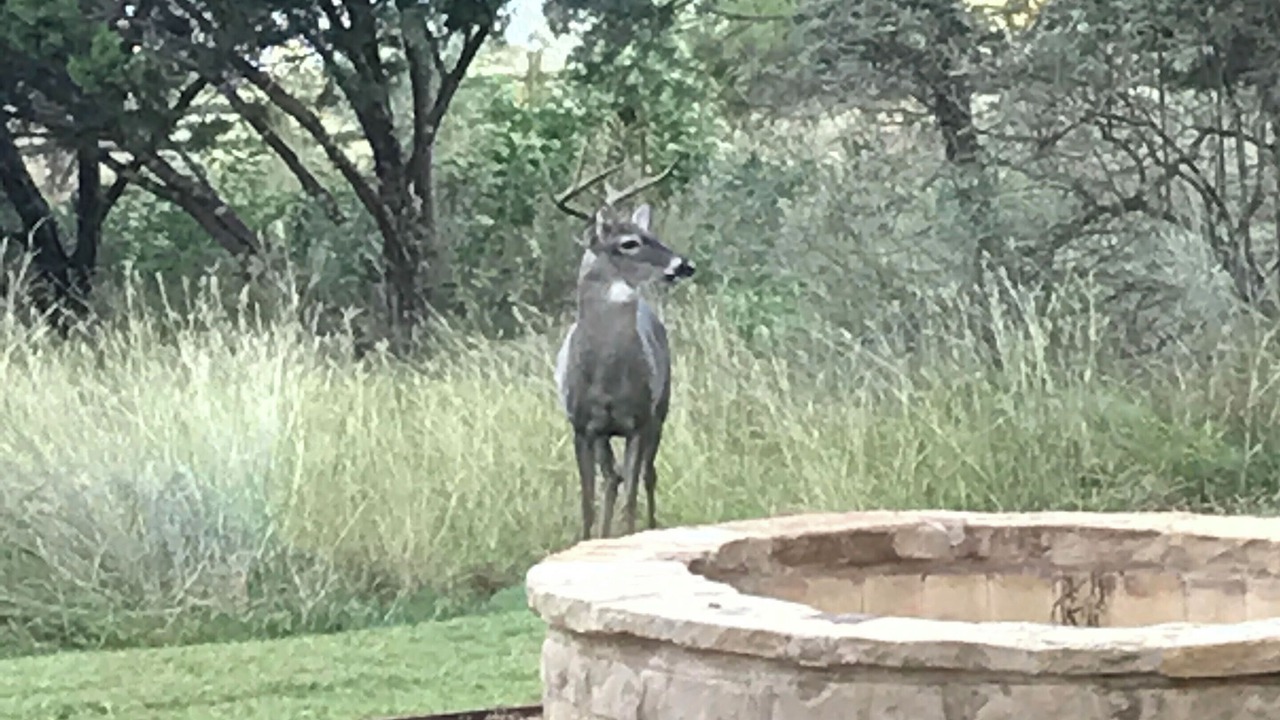 Photo of Outdoor in Point Venture