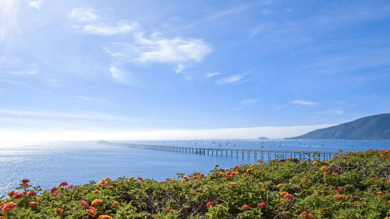 Photo of Others in Avila Beach
