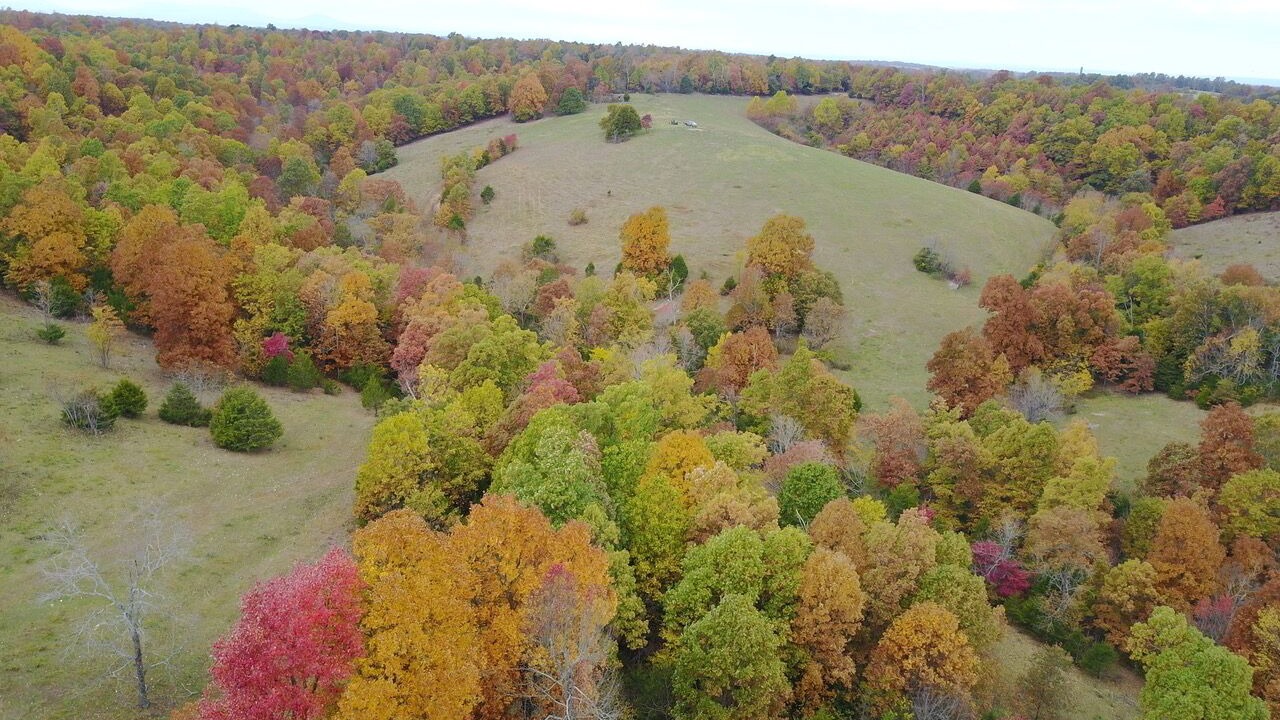 Photo of Outdoor in Bruno